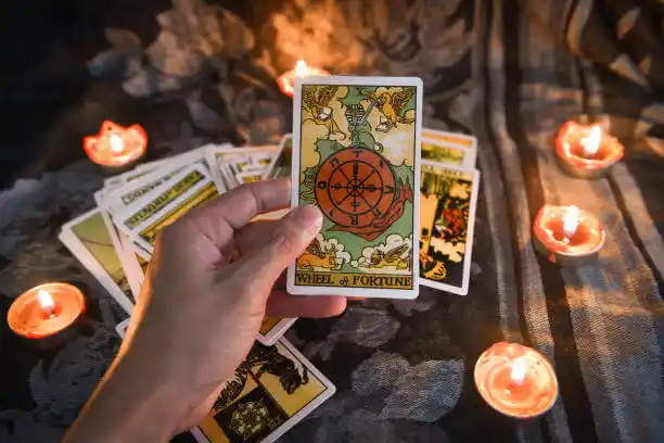 tarot cards Wildwood